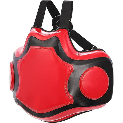 Body Protective Shield